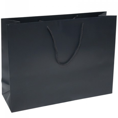 Flat Handle SOS Paper Bags 10x12  Packaging Supplies