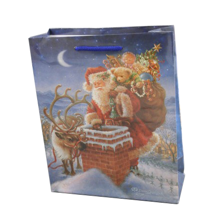 All Christmas Printed Gift Bags