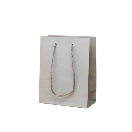 Ex Small Silver Gloss Laminated Paper Bags