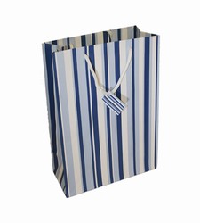 Small White And Blue Gift Bag With Tissue - GM001